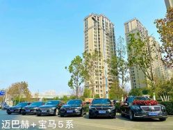 -蚂蚁婚车