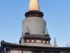 -张掖大佛寺景区