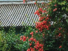 -和顺古镇