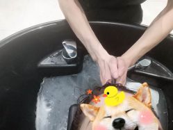 -MOVAN HAIR莫凡匠人发型屋