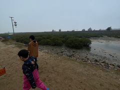 -红树林天天赶海