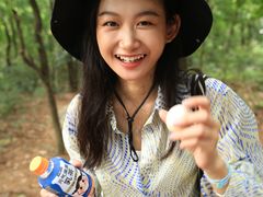-火炉山森林公园