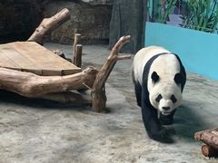 -石家庄市动物园