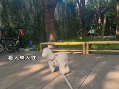 -唐小姐の猫狗洗护·购宠旗舰店(周浦万达店)