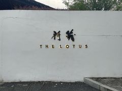 -几荷·恰似故人来(秀水广场店)
