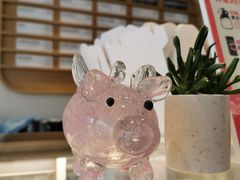 -WHEN PIGS FLY当猪飞