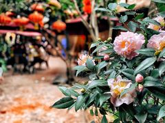 -园林美食城·本土农家菜(杨和镇店)