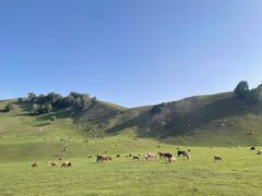 -新疆那拉提国家旅游度假区