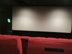 -SFC上影百联影城(八佰伴IMAX店)