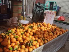 -细村农贸综合市场(沿江路店)