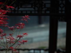 -个园