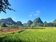 -靖西鹅泉风景区