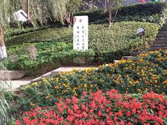 -重庆彩云湖湿地公园