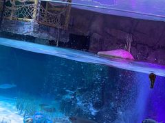 -沈阳海洋探索中心