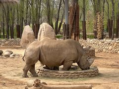 -北京野生动物园