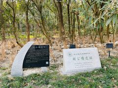 -上海吴淞炮台湾国家湿地公园