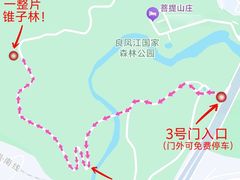 -南宁良凤江国家森林公园