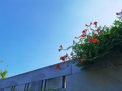 -养云安缦·廊