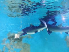 -水上乐园·欢乐世界