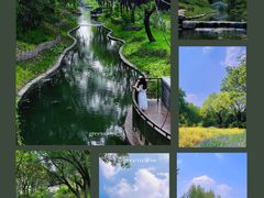 -北坞公园