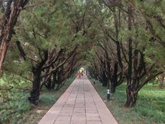 -洛阳古墓博物馆