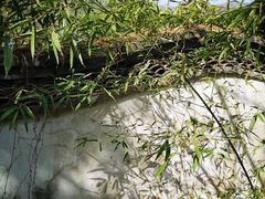 -红楼梦邮局
