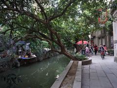 -小洲村