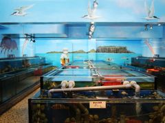 -海九澎湖海鲜餐厅