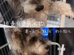 -琪喵猫屋·撸猫猫咖·猫舍