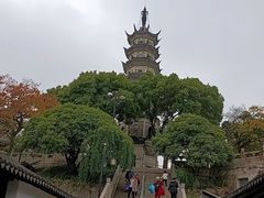 -苏州上方山国家森林公园