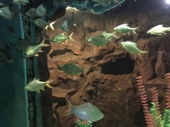 -洛阳龙门海洋馆