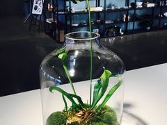 -dotcom coffee古点咖啡(致真大厦店)