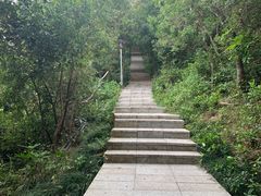 -小南山公园