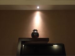 iphone_upload_pic-上海金陵紫金山大酒店