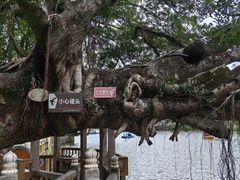 -潮州西湖