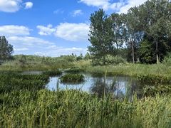 -溱湖国家湿地公园