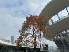 -梅溪湖城市岛