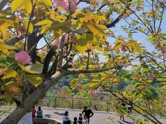 -石峰公园