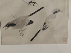 -天津美术学院-校史馆