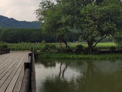 -八卦田遗址公园