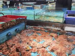 -拉完海鲜大排档(温岭店)