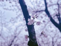 -龙美术馆(西岸馆)