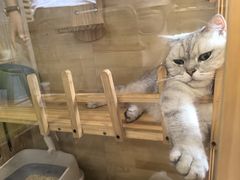 -艺味深尝(云锦路店)