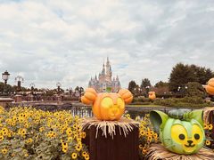 -上海迪士尼度假区