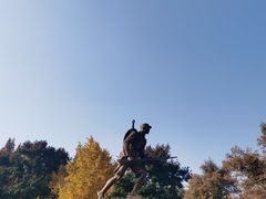-雍容荟帝王蟹活龙虾展台自助(IFS黑金店)