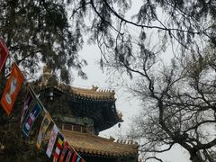 -雍和宫
