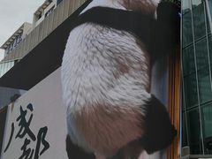 -合景·悠方(成都店)