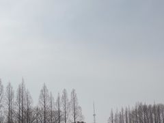 -沙澧河风景区