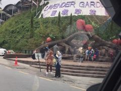 -金马仑薰衣草花园(Cameron Lavender)