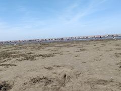 -启东黄金海滩景区